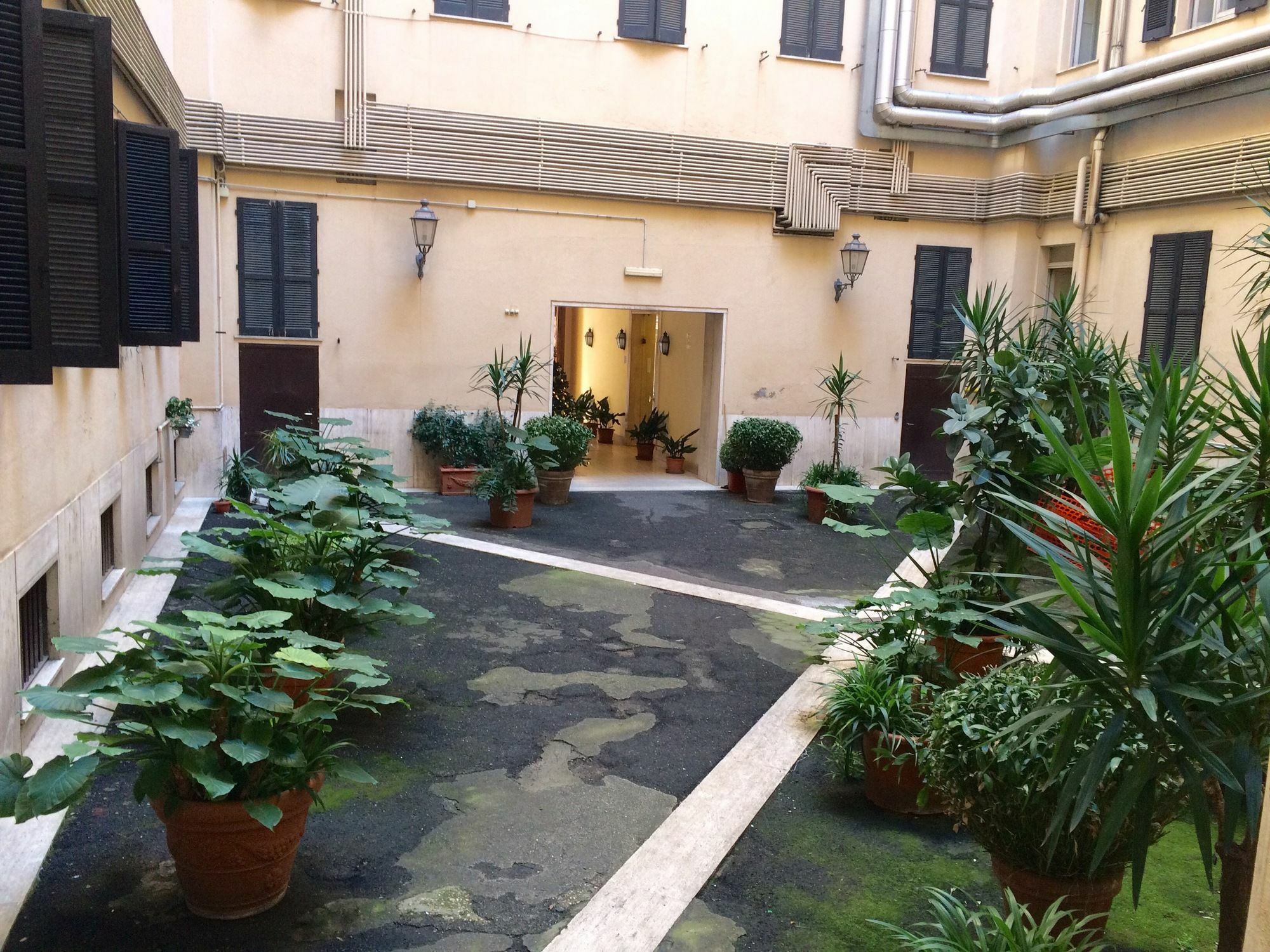 Ohi * Rome